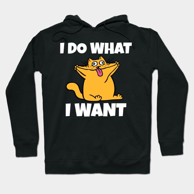 I do what I want funny cat Hoodie by Work Memes